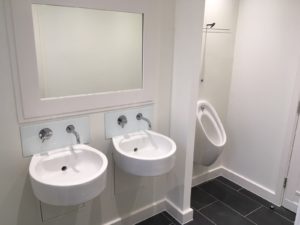 toilet-installation-eco-installer-ely