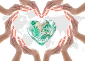 Eco-Installer-Fossil-Fuel-Free